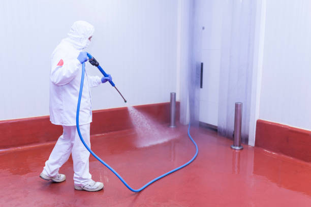 Best Building Exterior Washing  in Boiling Springs, PA